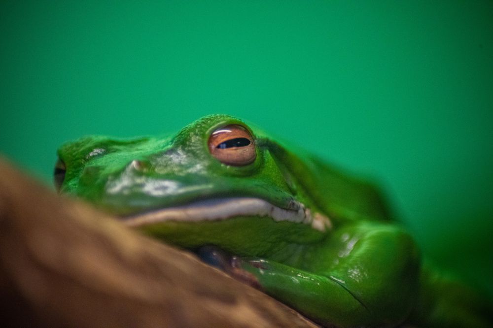 Photograph by Екатерина Абросова