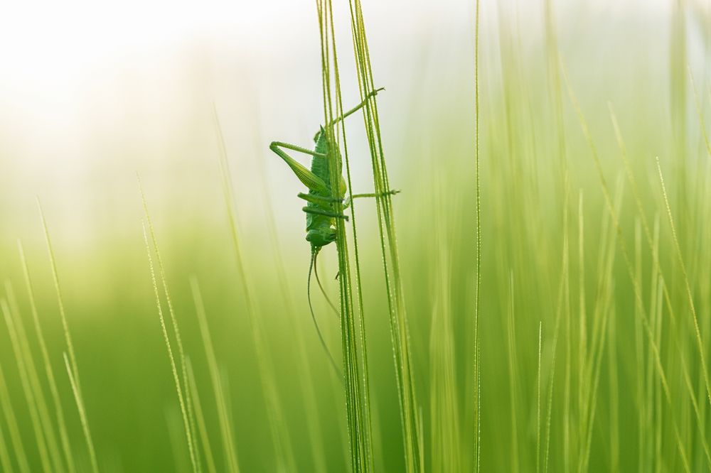 Photograph by Darja Akakjeva