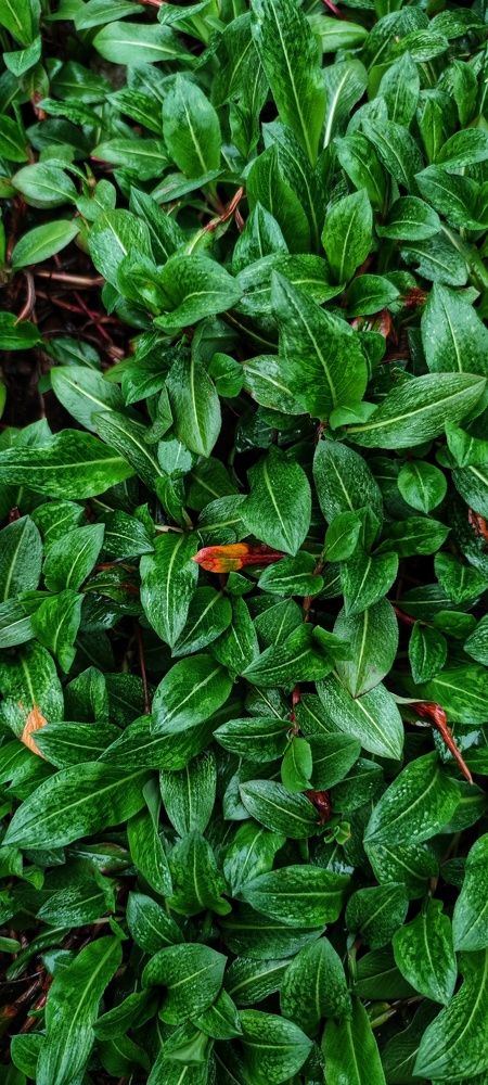 Photograph by Кристина Родина