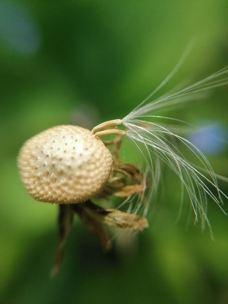 Photograph by Екатерина Абросова