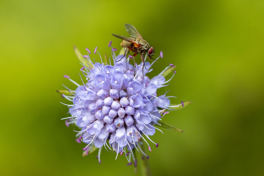 Photograph by Darja Akakjeva