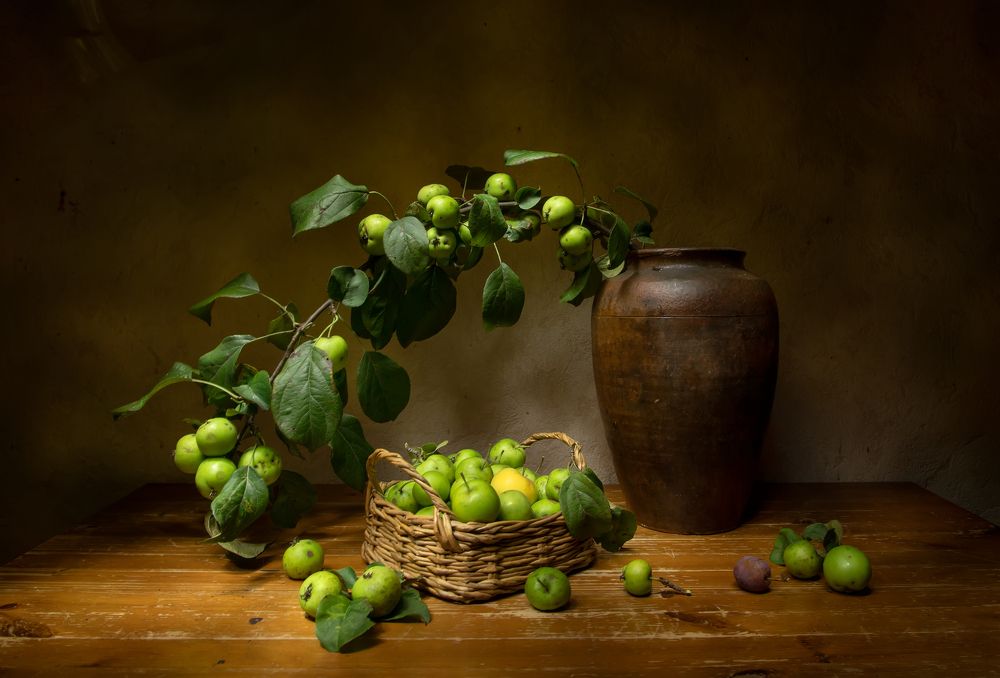Photograph by 