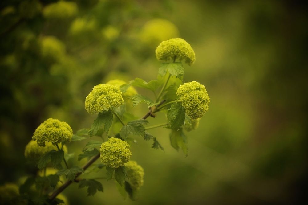 Photograph by Михаил Саидов