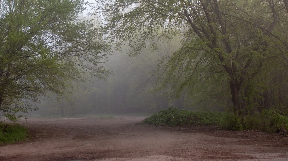 Photograph by Александр Мирошниченко