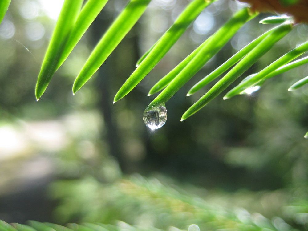 Photograph by Людмила Баглей