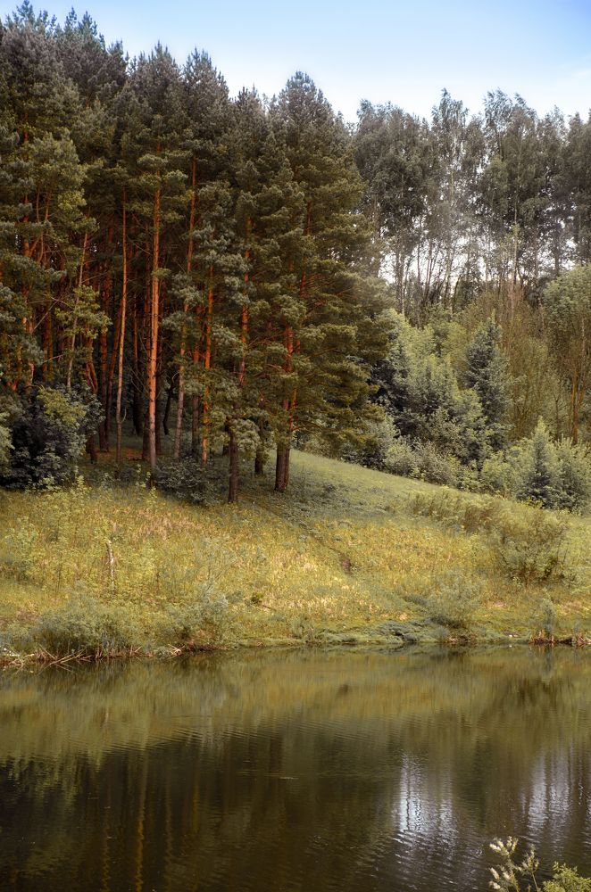 Photograph by Чурляев Максим