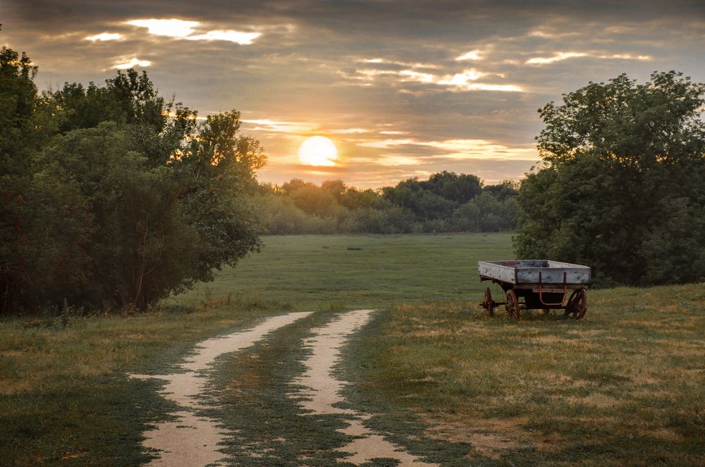 Photograph by Чурляев Максим
