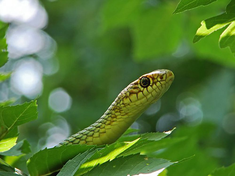 Photograph by Анна Васильева