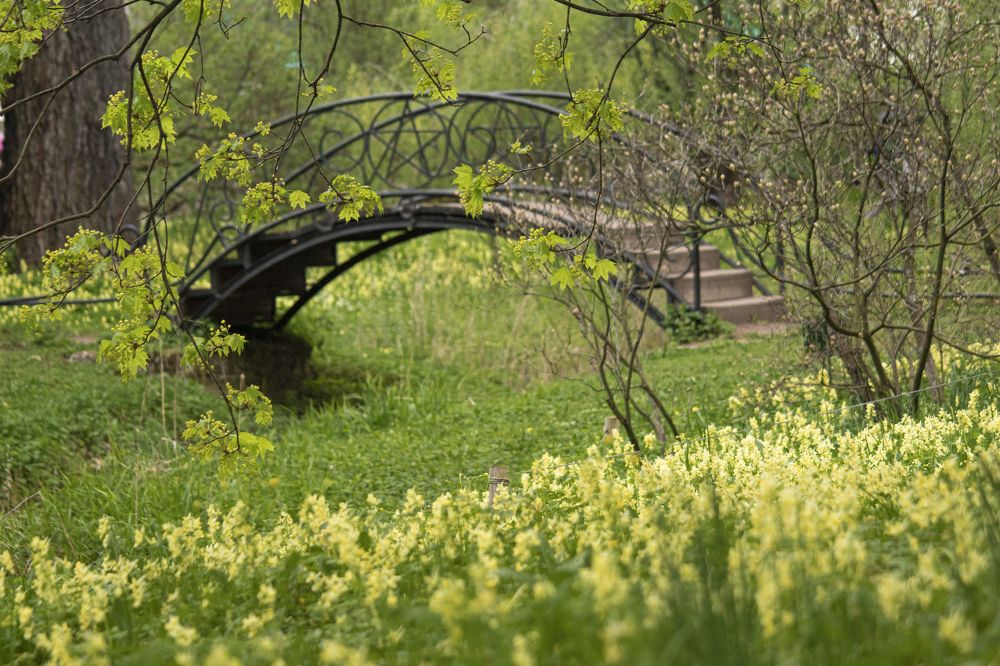 Photograph by Анна Васильева