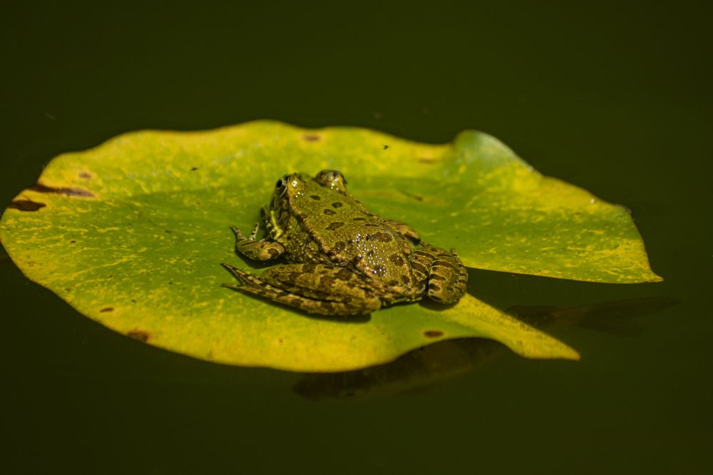 Photograph by Анна Васильева