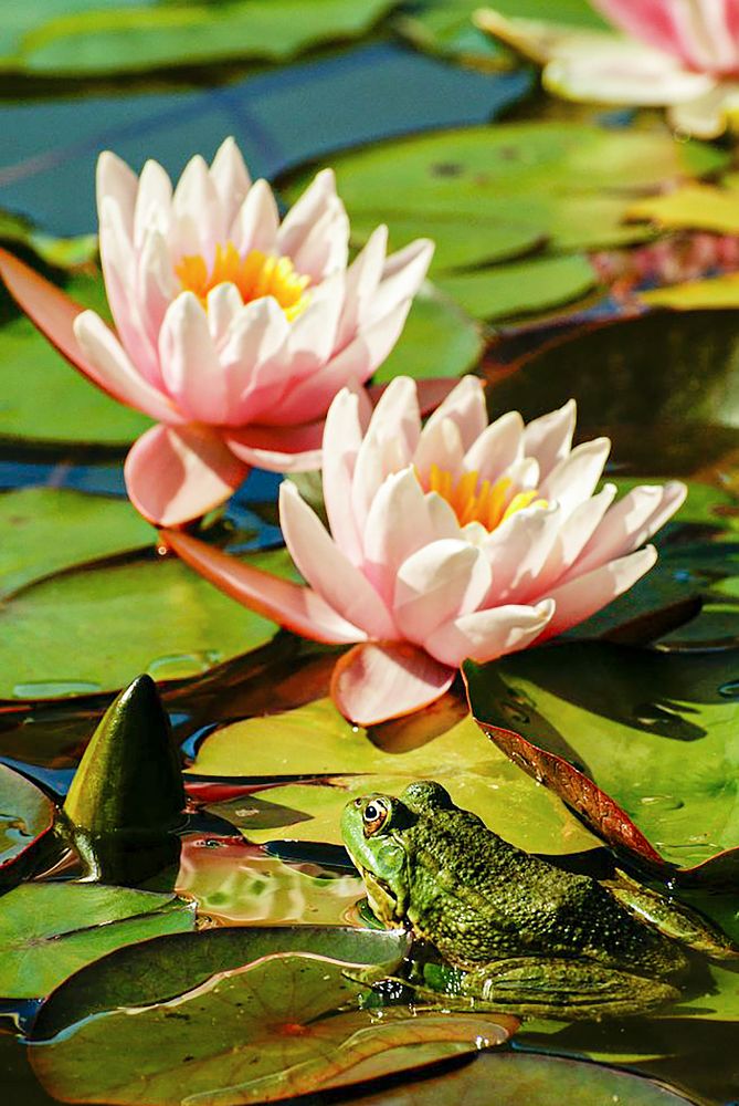 Photograph by Анна Васильева