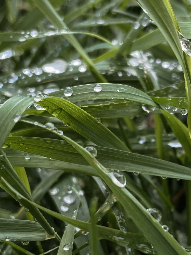 Photograph by Анна Захарук