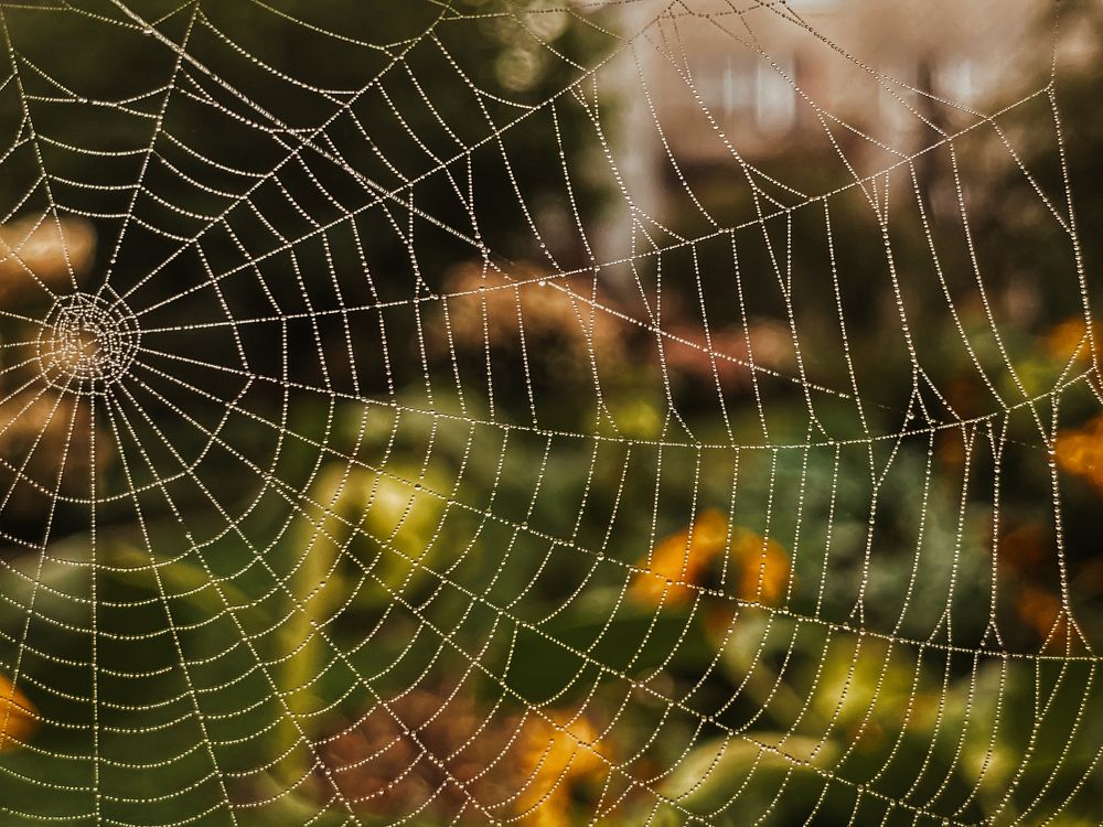 Photograph by Оксана Сидоренко