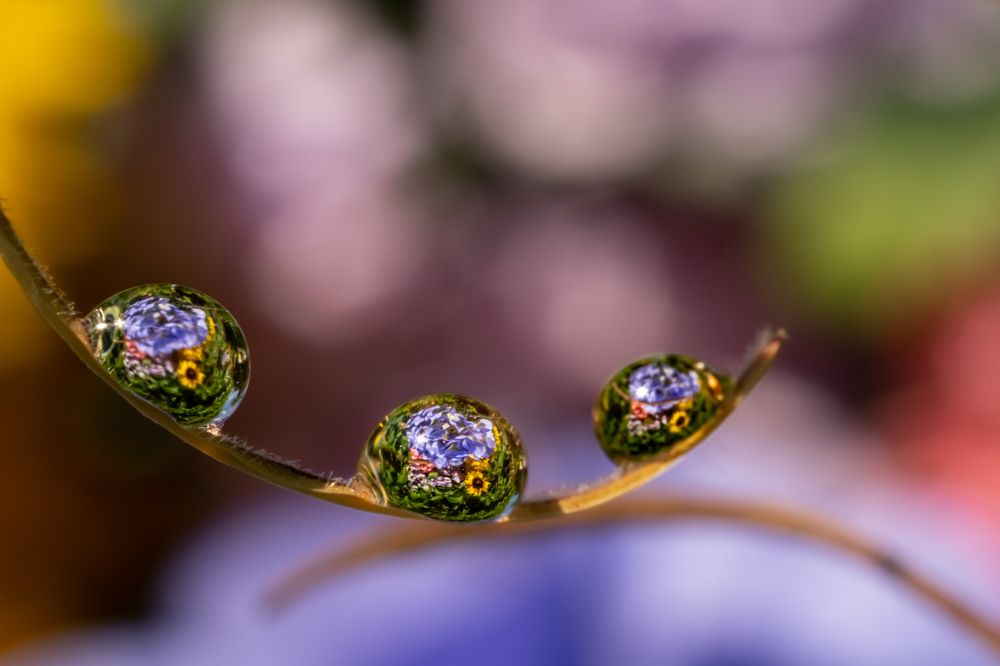 Photograph by Николай Фонарёв