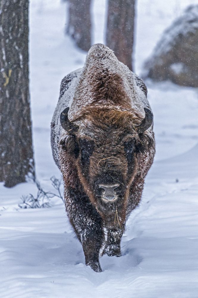 Photograph by Константин Кукушкин