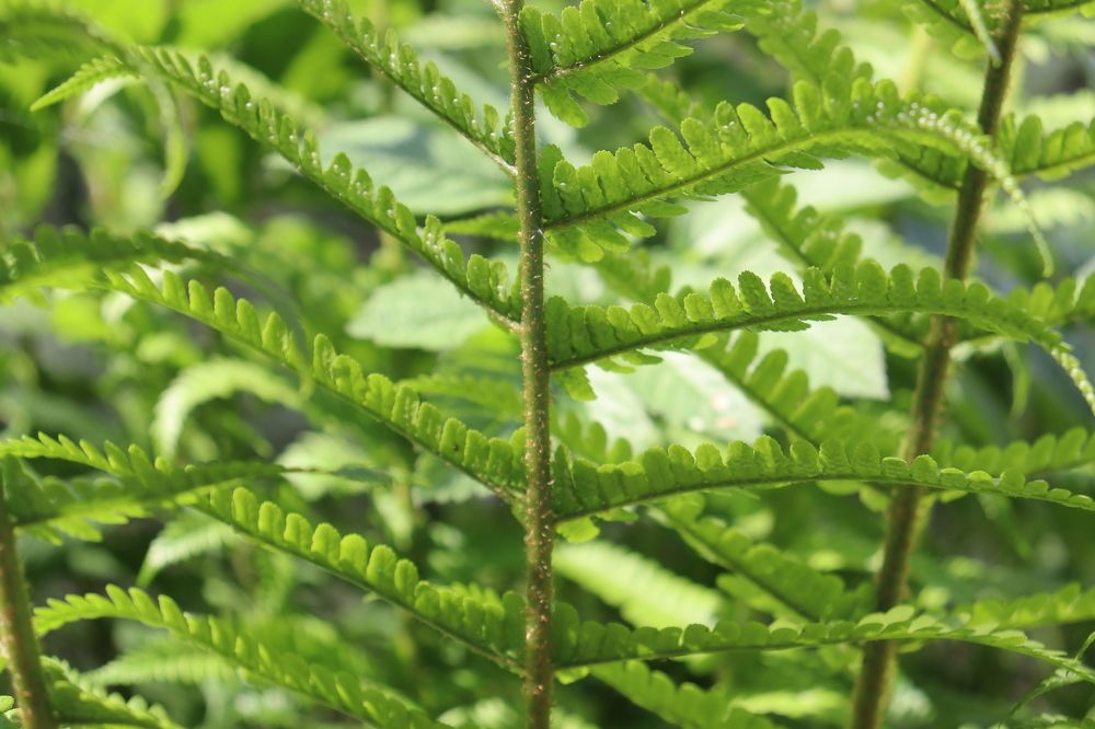 Photograph by Мария Юруть