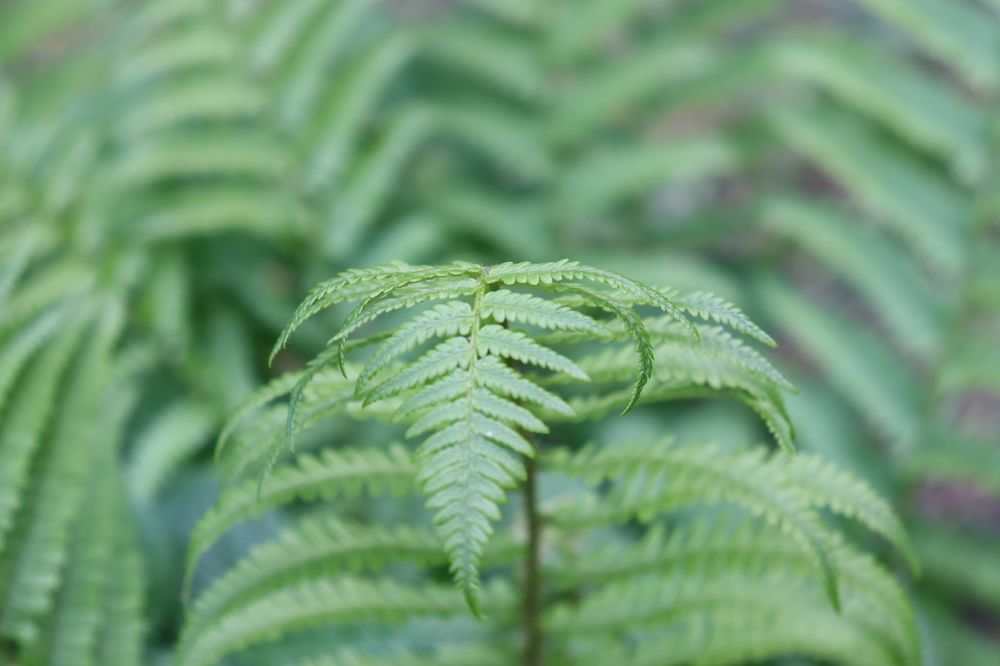 Photograph by Мария Юруть