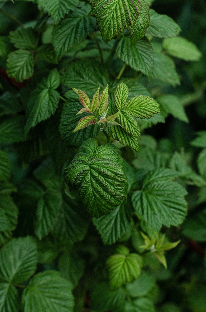 Photograph by Ольга Шубина