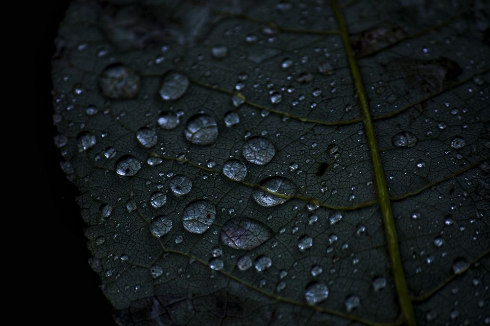 Photograph by Андрей Анкудинов