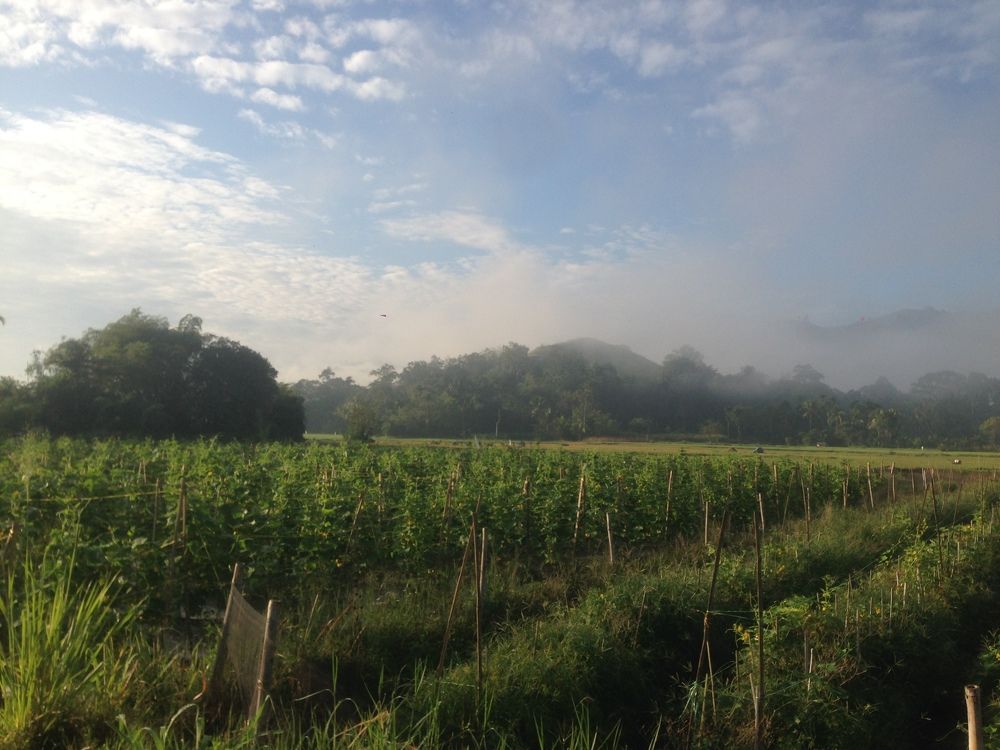 Photograph by Adalu Badrusa Adal