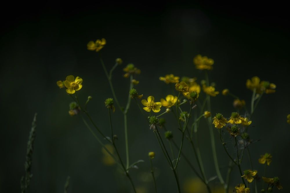 Photograph by Андрей Анкудинов
