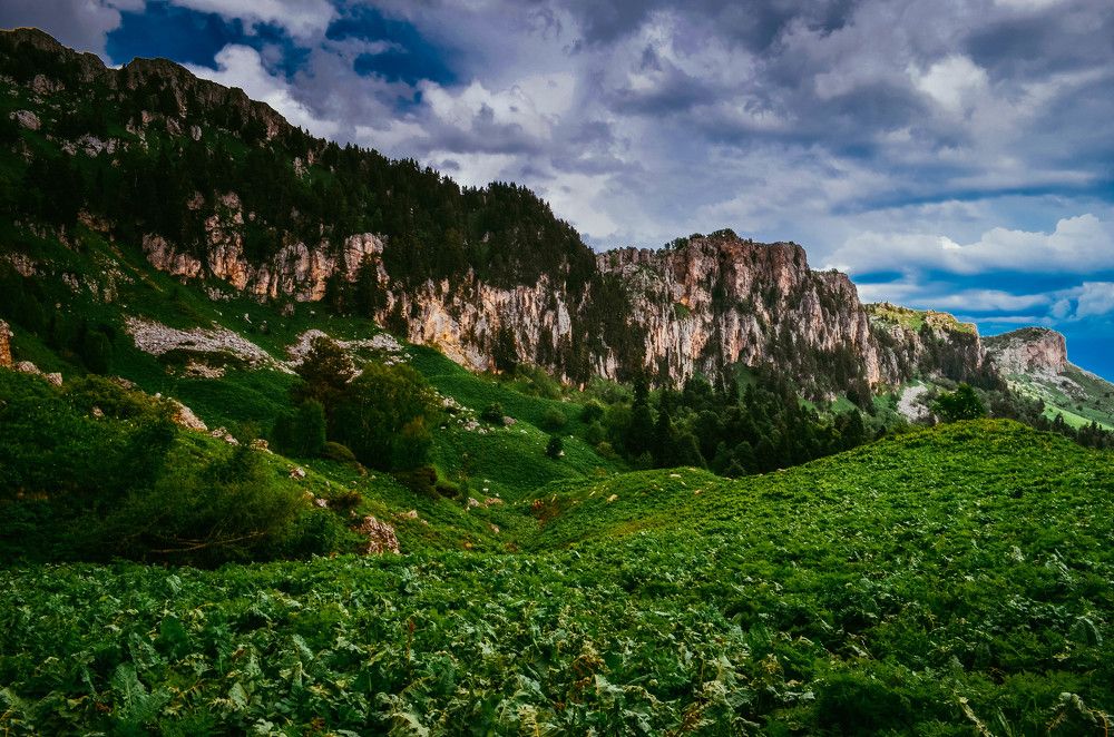 Photograph by Дмитрий Педченко