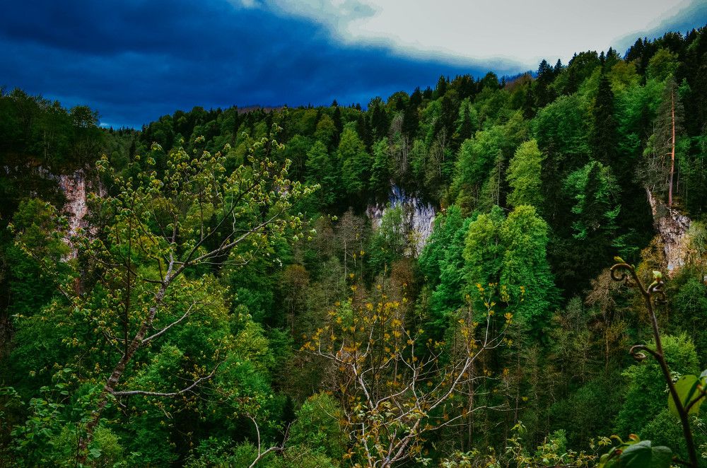 Photograph by Дмитрий Педченко