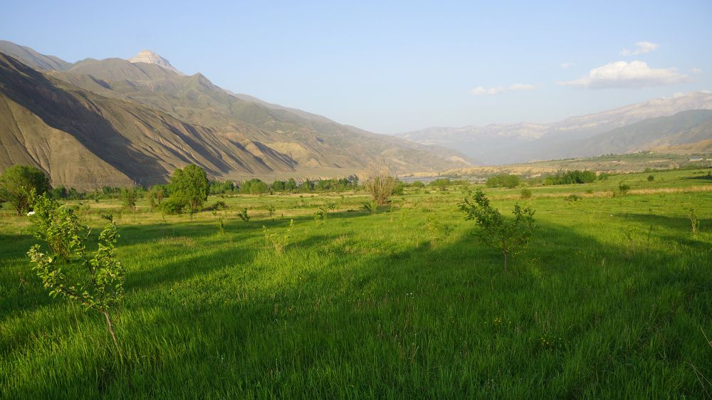 Photograph by косяк