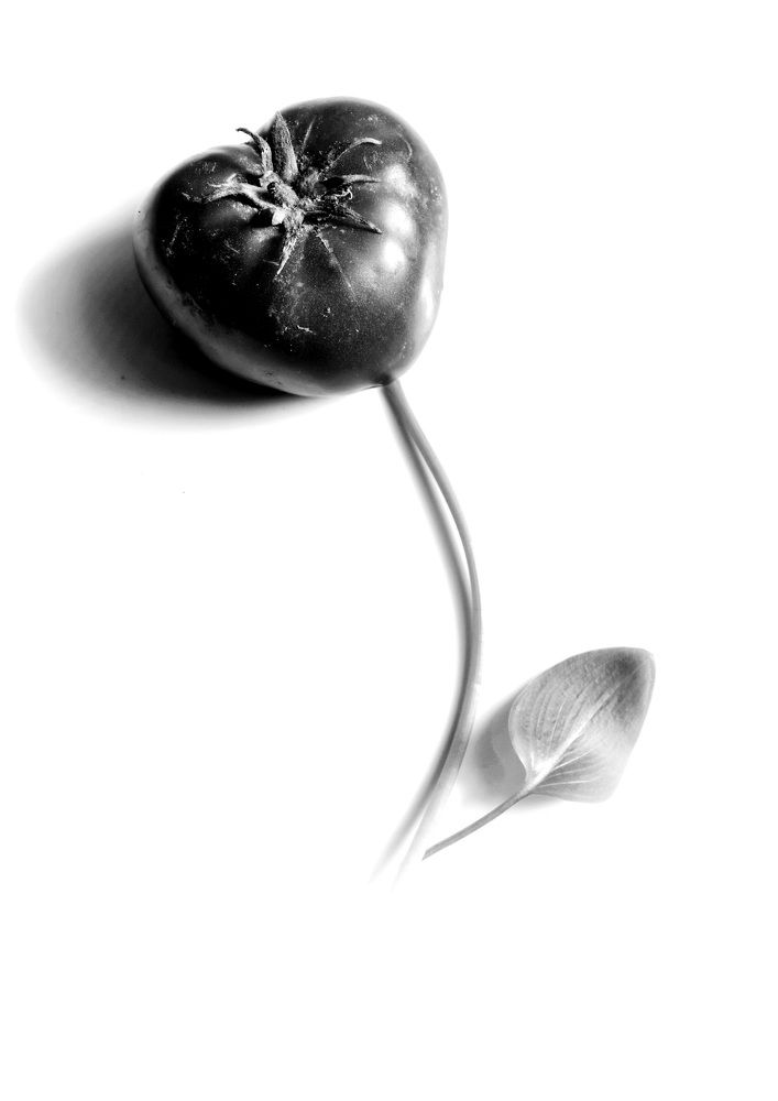 Photograph by Mohammed Rezaiguia