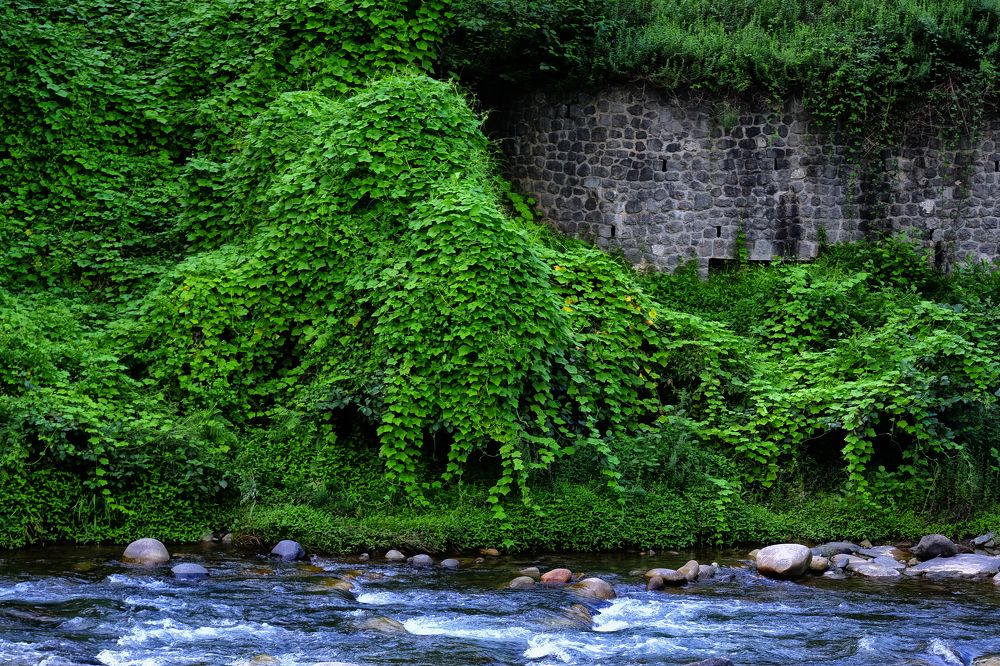 Photograph by Muzaffer Sütlüoğlu