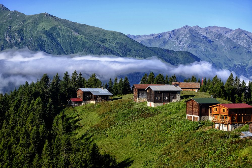 Photograph by Muzaffer Sütlüoğlu