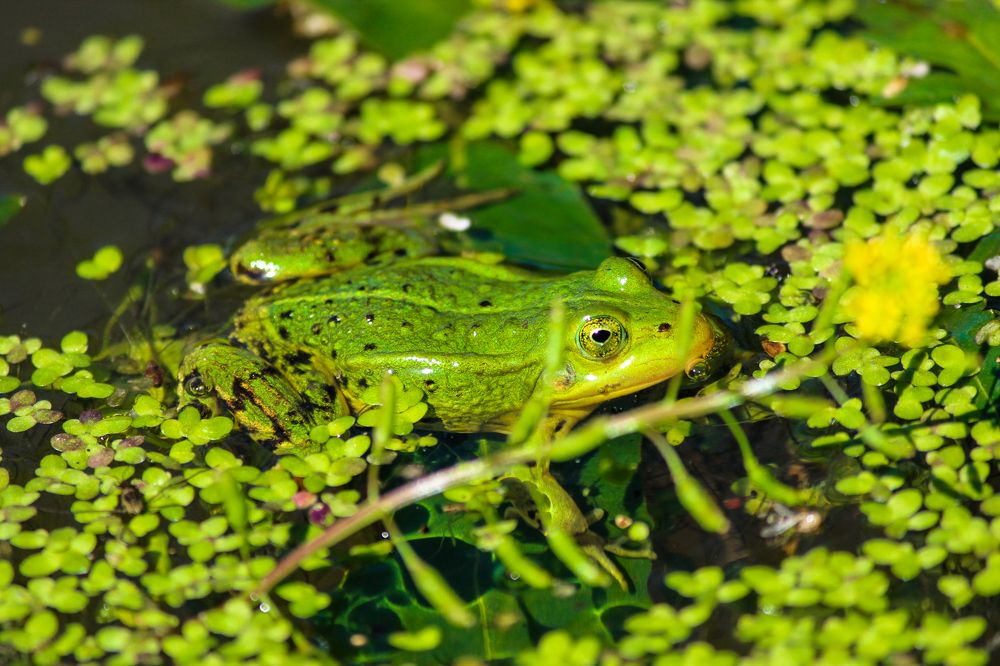 Photograph by Елена Верховская