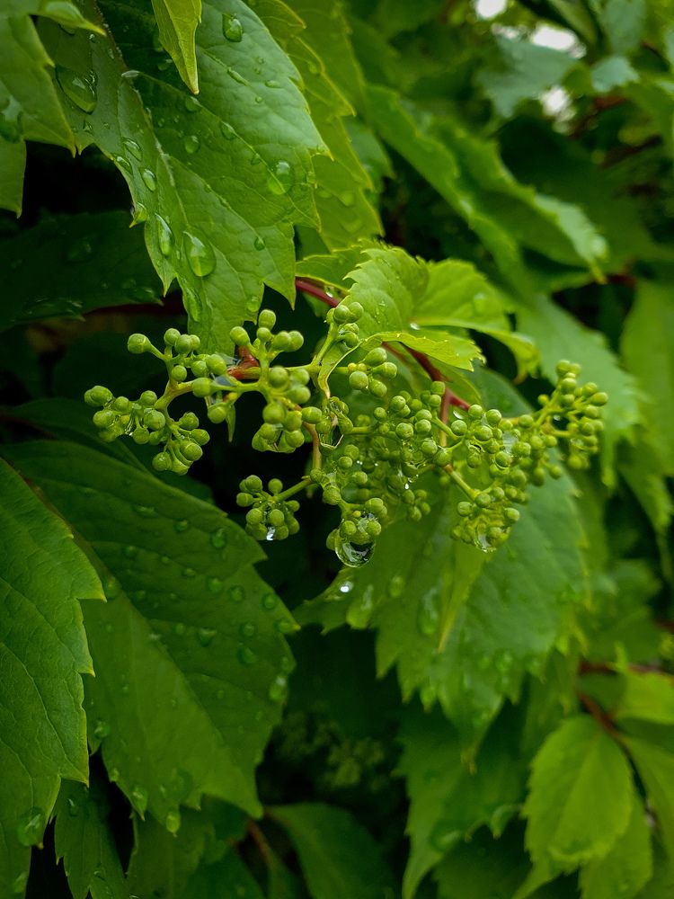 Photograph by Анастасия Трофимовская