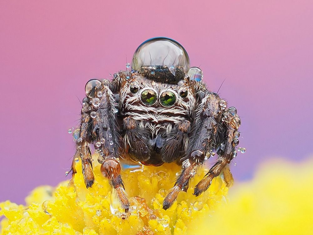 Photograph by Лукашук Евгений