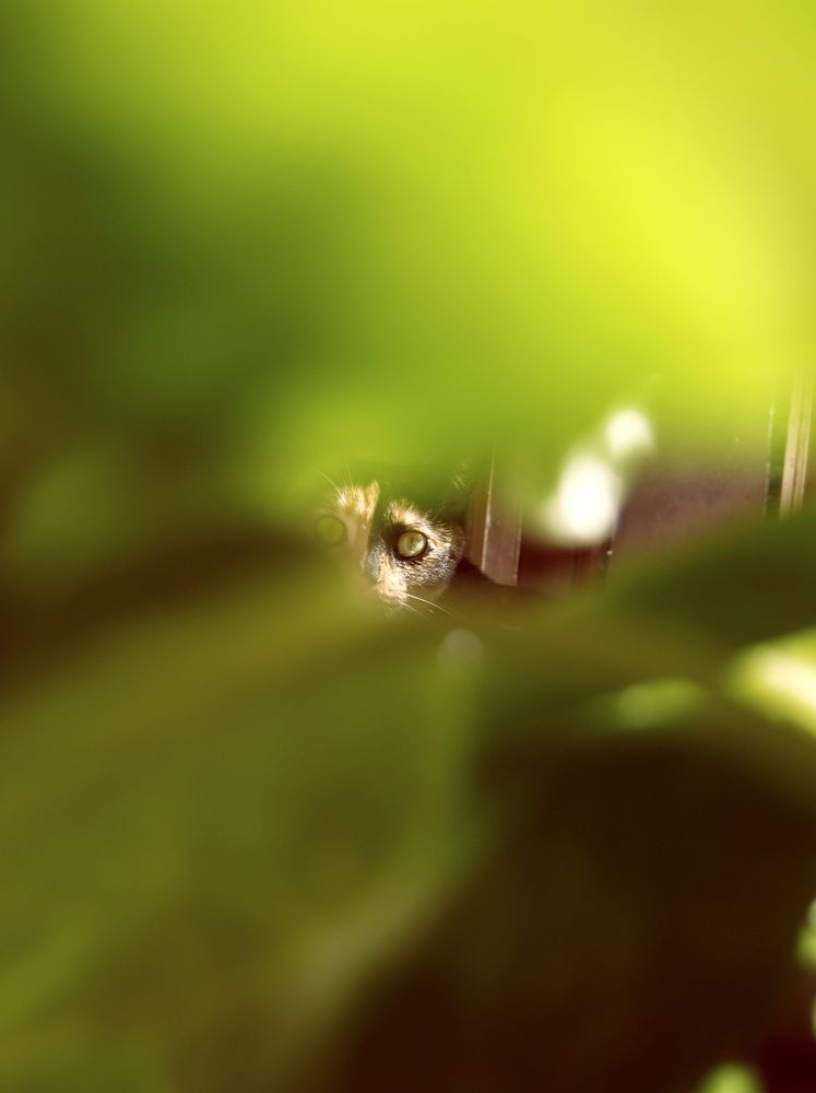 Photograph by Tatevik Tananyan