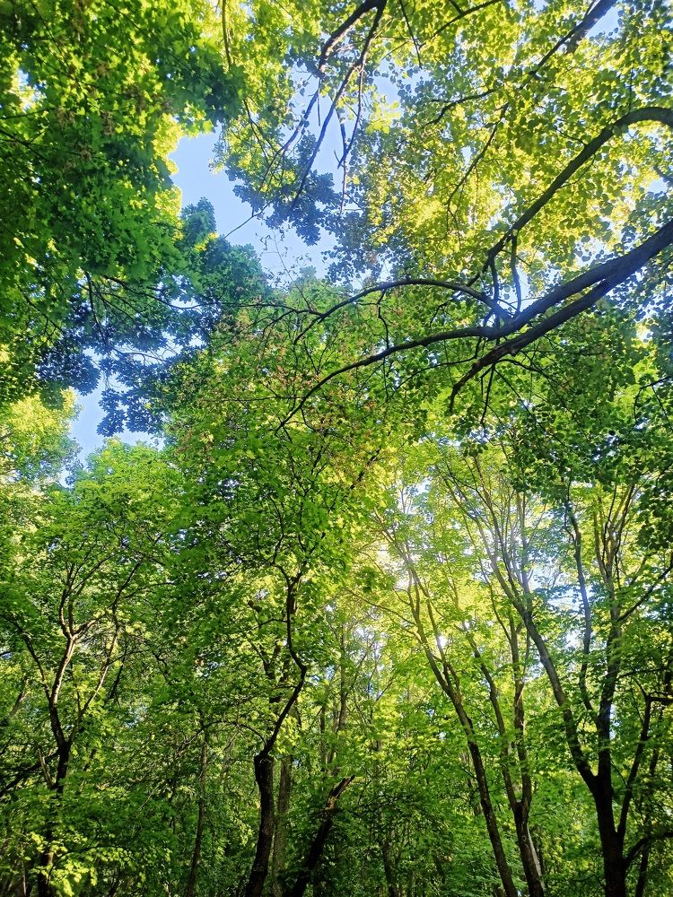 Photograph by Елизавета Мишина