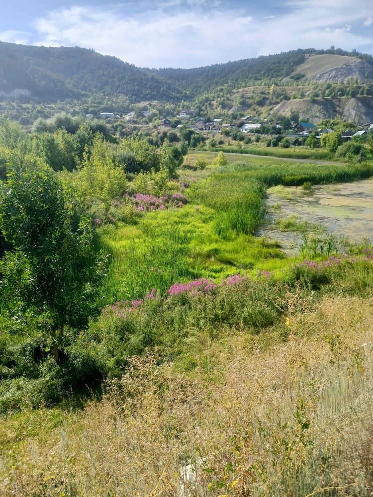 Photograph by Елизавета Мишина