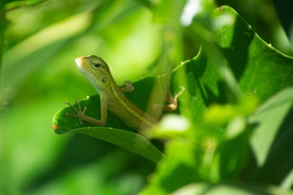 Photograph by Htet Myat Soe
