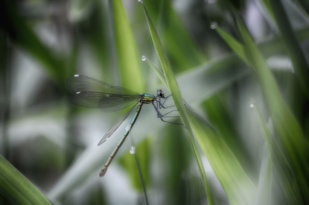 Photograph by Teodora Sarbinska