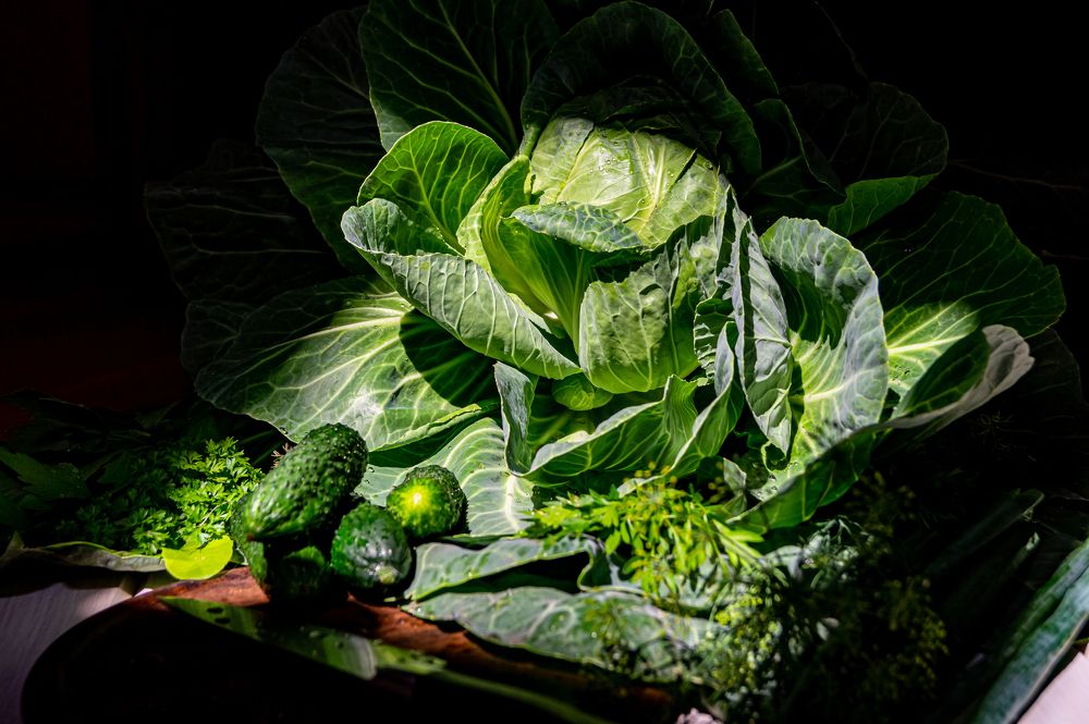 Фотография автора Natallia Kirpichova