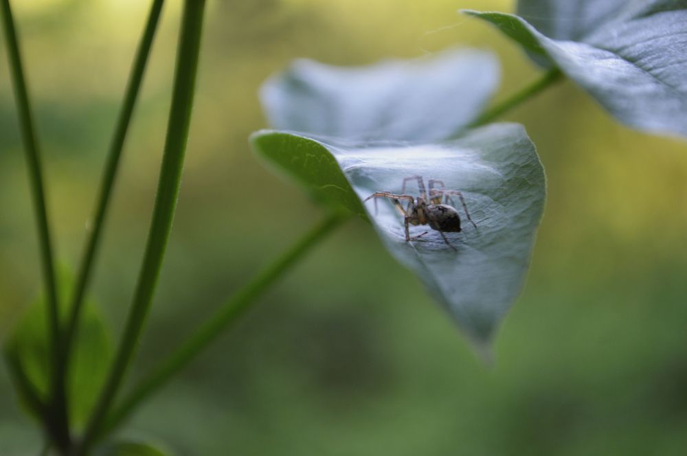 Photograph by Teodora Sarbinska