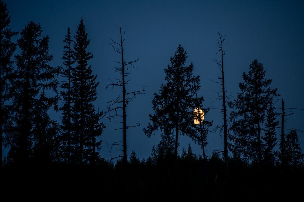 Photograph by Андрей Зуев