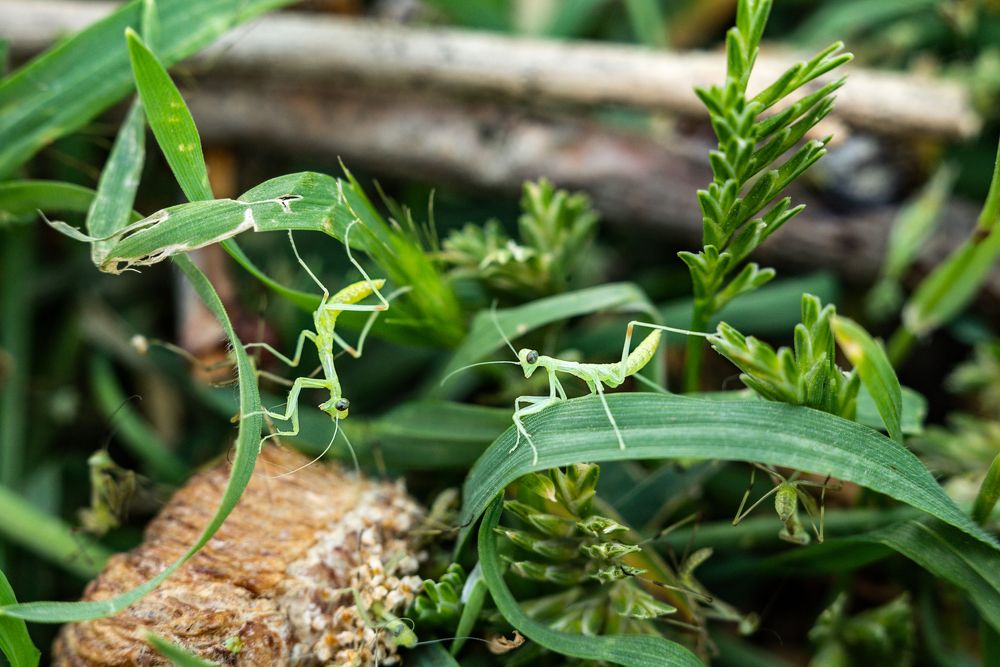 Photograph by Елена Володина