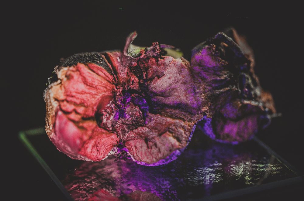 Photograph by Veronika Trubnikova