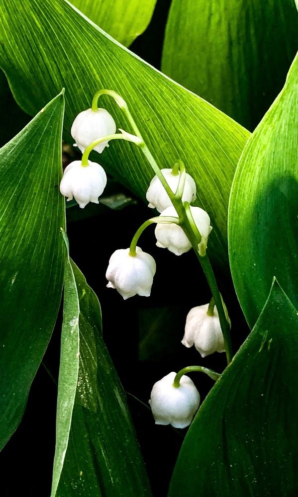 Photograph by Марина