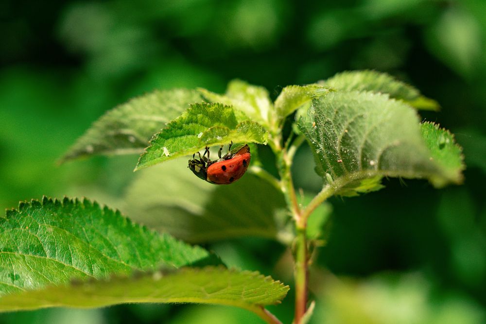 Photograph by Елена Володина