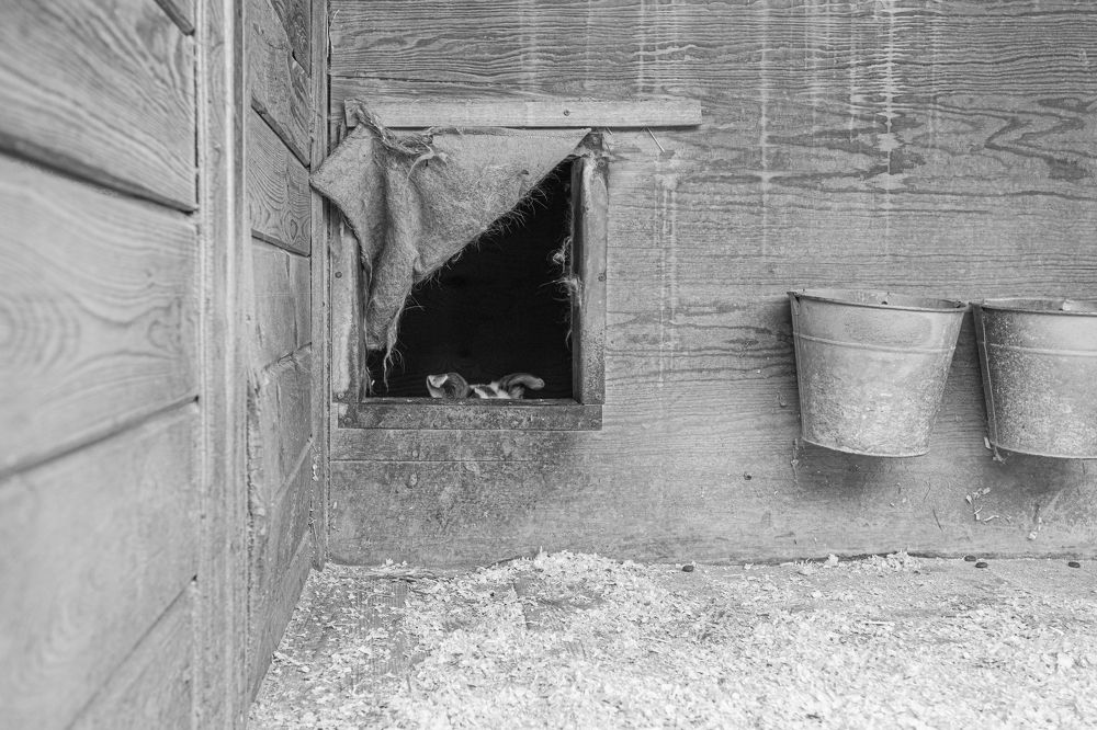 Photograph by Veronika Trubnikova