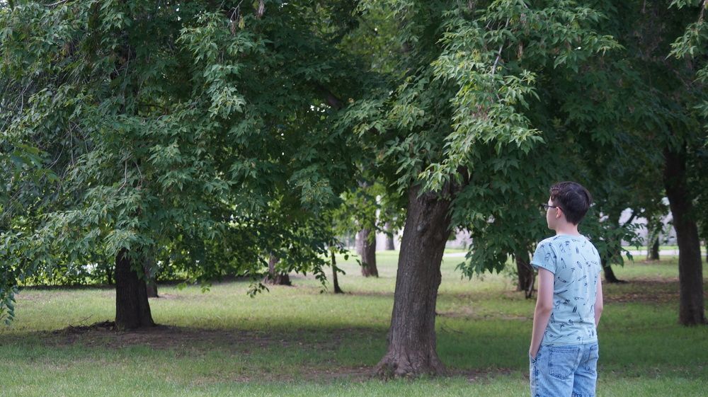 Photograph by Надежда Кнак