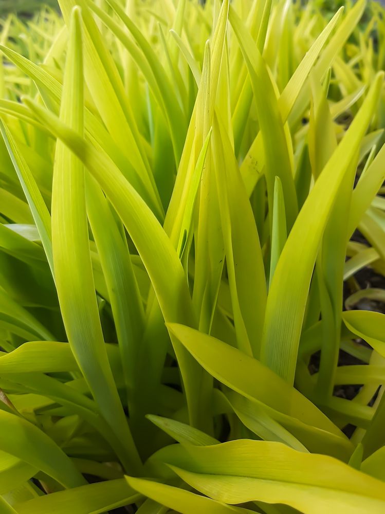 Фотография автора Светлана Дунаева