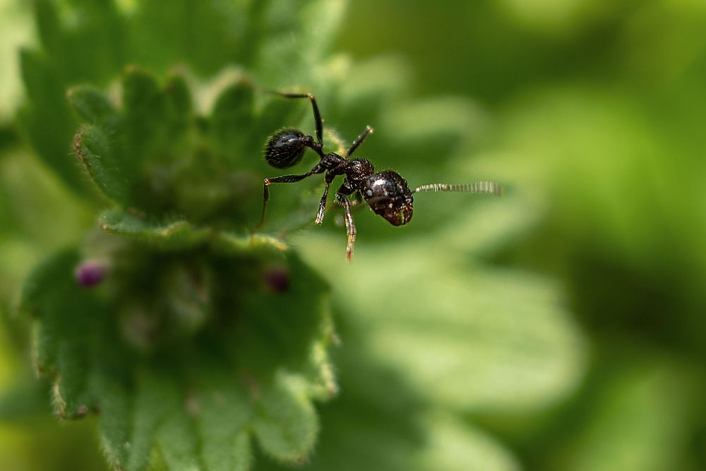 Photograph by Елена Володина